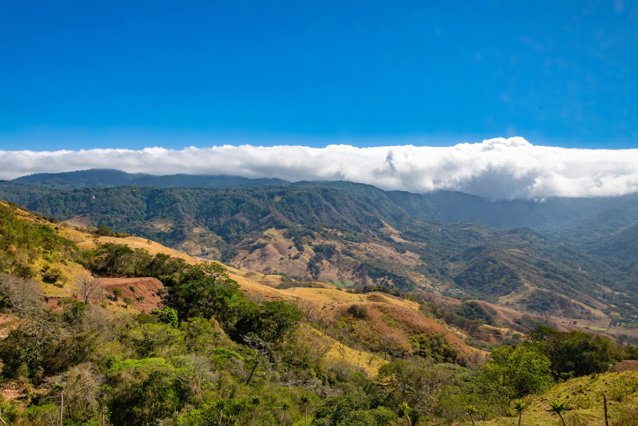 Nature in costa rica