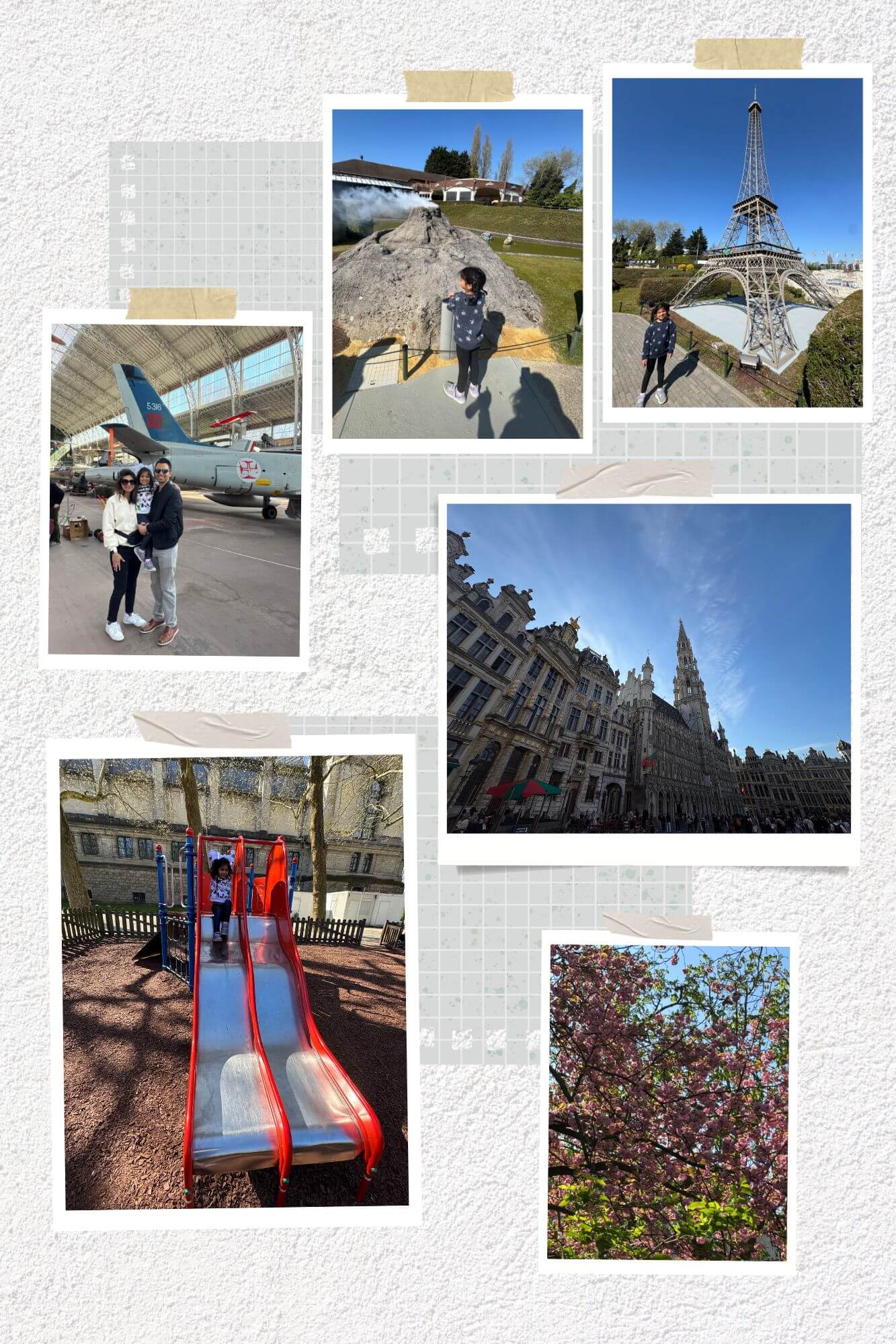 brussel gallery image 7