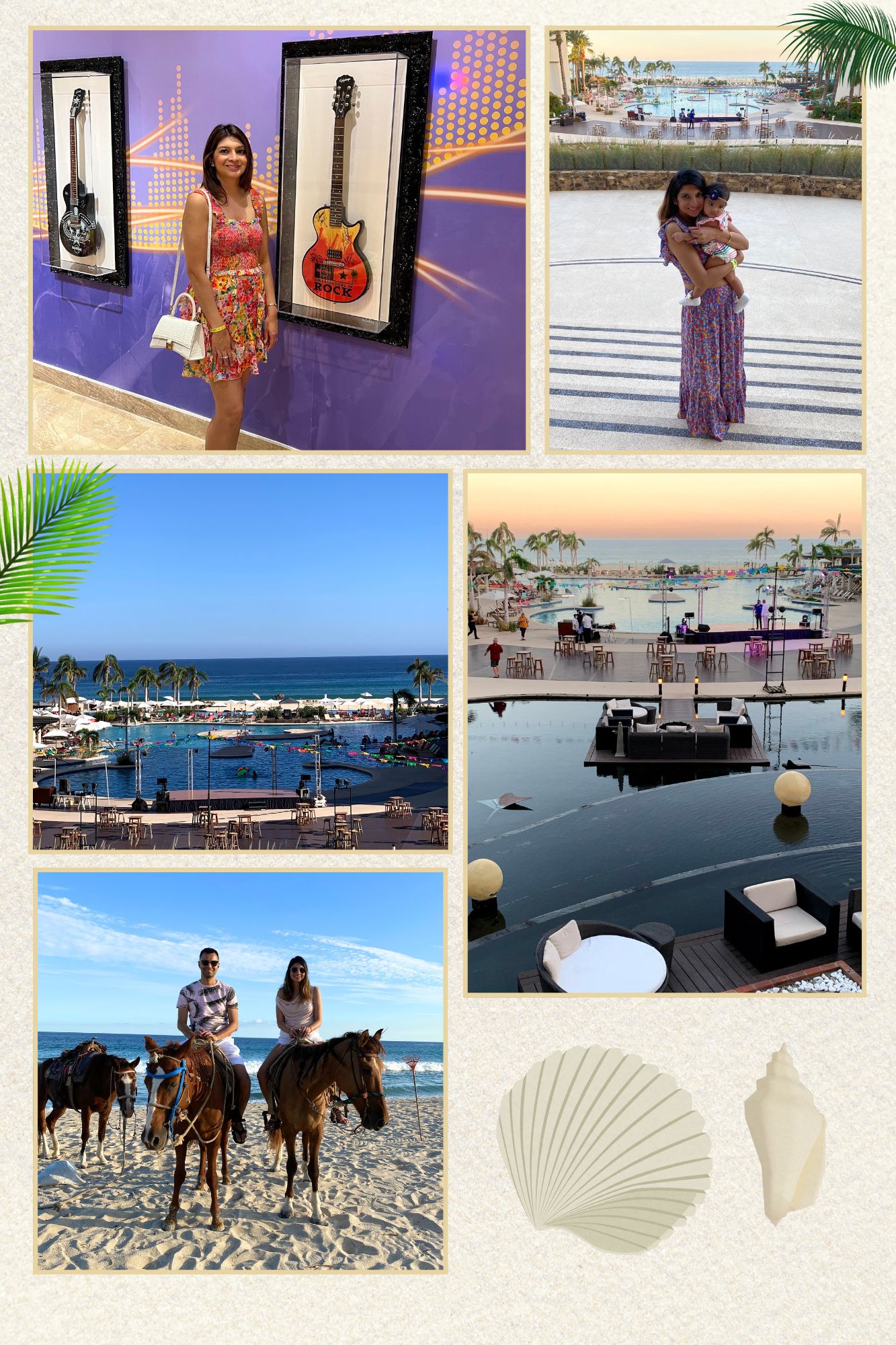 CABO MEXICO CREATIVE GALLERY 4