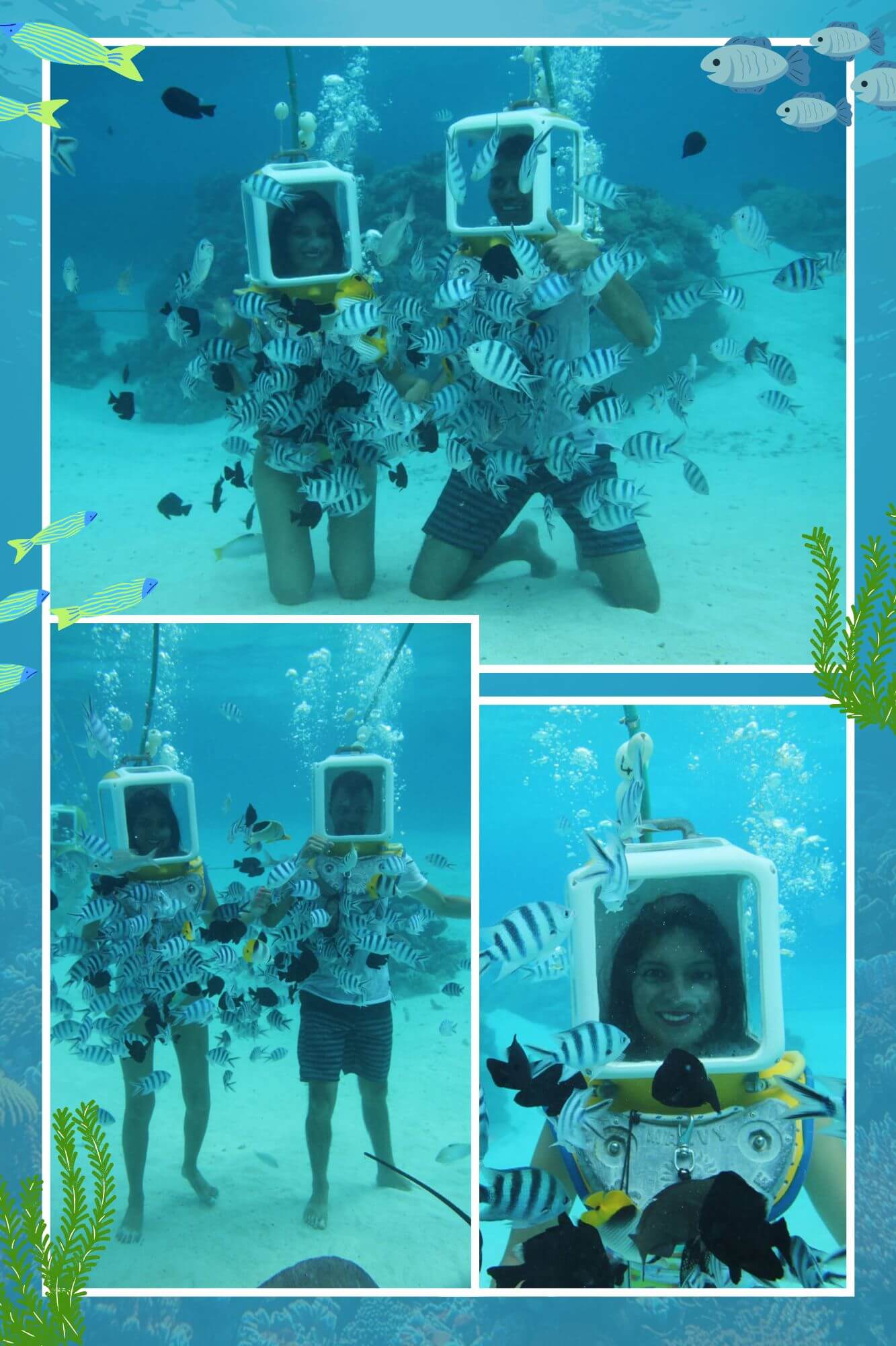 Bora Bora Gallery 7